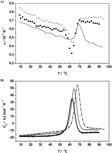 (A) Temperature dependence of the apparent thermal expansion coefficient α of RNase A (protein concentration 5 mg mL−1) in 10 mM phosphate buffer solution at pH 5.5 (filled squares) as well as in 0.5 M (open triangles) and 1.5 M (continuous thin line) sucrose in 10 mM phosphate buffer solution at pH 5.5. (B) Corresponding DSC traces of RNase A (thick line) and in the presence of 0.5 M (thin line) and 1.5 M (dashed dot line) sucrose.