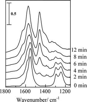 Dynamic changes in the IR spectra as a function of time in flowing n-hexane + O2 on Ag/Al2O3 at 623 K. Before the measurements, the catalyst was pre-exposed to a flow of NO + O2 for 120 min at 623 K. Reprinted from Appl. Catal., B, 30, K. Shimizu, J. Shibata, H. Yoshida and T. Hattori, Silver–alumina catalysts for selective reduction of NO by higher hydrocarbons: structure of active sites and reaction mechanism, pp. 151–162, © 2001, with permission from Elsevier.49