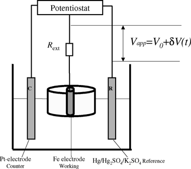 Schematic of the experimental apparatus.