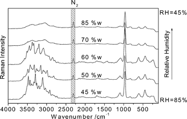 Raman spectra of a levitated AS droplet during efflorescence exposed to decreasing RH at 297 K.
