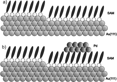 A schematic diagram of (a) the 4-MP SAM islands formed on the Au(111) surface before Pd deposition. (b) Pd islands formed on top of the SAMs after Pd deposition.