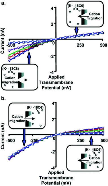 Current–voltage curves for a conical nanopore with tip diameter ∼1.5 nm, and with 18C6 added to the 1 M KCl solution facing the tip (a) or base (b) of the conical nanopore. The concentration of 18C6 was 0 mM (◇), 5 mM (□), 10 mM (Δ), 25 mM (○), or 50 mM (□). Each data point is the average of three replicate measurements on the same membrane. The standard deviation is ∼2% of the measured average current. Error bars are not shown because they are approximately equivalent to the width of the lines in the plot. The membrane material was polyimide.