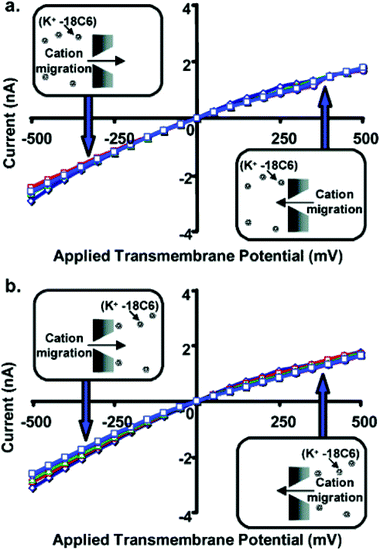 Current–voltage curves for a conical nanopore with tip diameter ∼3.0 nm, and with 18C6 added to the 1 M KCl solution facing the tip (a) or base (b) of the conical nanopore. The concentration of 18C6 was 0 mM (◇), 5 mM (□), 10 mM (Δ), 25 mM (○), or 50 mM (□). Each data point is the average of three replicate measurements on the same membrane. The membrane material was polyimide.