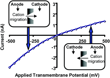 Current–voltage curve for a conical nanopore with tip diameter ∼1.5 nm in 1 M KCl, pH = 8. The membrane material was polyimide.