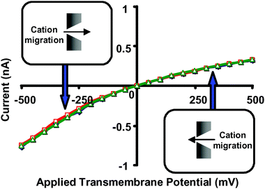 Current–voltage curves for a conical nanopore with tip diameter ∼1.5 nm, and with 1 M LiCl as the electrolyte. (◇) 1 M LiCl, no added 18C6. (□) 1 M LiCl and 50 mM 18C6 added to the solution facing the tip of the nanopore. (Δ) 1 M LiCl and 50 mM 18C6 added to the solution facing the base of the nanopore. The membrane material was polyimide.