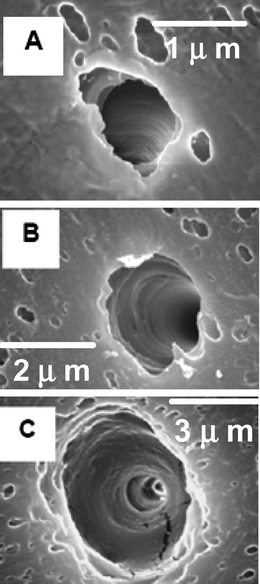 Scanning electron micrographs of the large diameter of a single conical nanopore fabricated under the conditions of (a) 0.0 V, (b) 15.0 V, and (c) 30.0 V applied during the etching process. The membrane was polycarbonate.