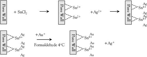 Schematic diagram of Au electroless plating procedure.