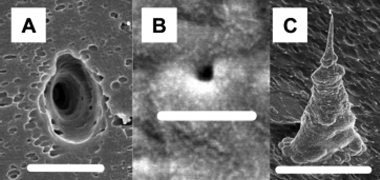 Electron micrographs showing (a) large-diameter (scale bar = 5.0 μm) and (b) small-diameter (scale bar = 333 nm) opening of a conical nanopore, and (c) a liberated conical Au nanotube (scale bar = 5.0 μm). The membrane was polycarbonate.