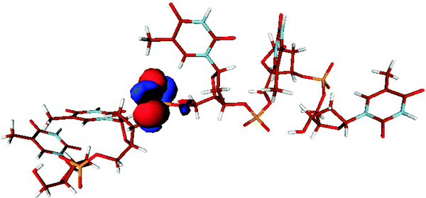 Structure of [dT5-4H]4− where deprotonation occurs on the phosphate groups, calculated using a simulated annealing molecular dynamics protocol utilising the Amber Parm99 force field.67 The HOMO from a subsequent single point B3LYP/6-31G* calculation is shown.