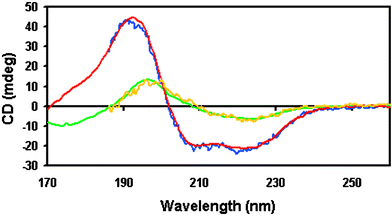 Conventional CD spectra (blue and yellow) and SRCD spectra (red and green) of myoglobin and concanavalin, respectively, obtained using identical samples (same protein preparation and concentration, same buffer, same sample cell with same cell pathlength, same temperature, etc.) showing improved signal-to-noise levels in the SRCD spectra, as well as the lower wavelength limits achievable with SRCD.