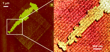 AFM images of T6 molecules grown on a parallel set of local oxide stripes. The interaction of the T6 and the oxide lines gives rise to the anysotropic growth of the molecules. Formation of a T6 wire of 6 µm in length and 400 nm in width (average value) (adapted from ref. 38).