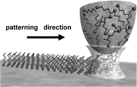 Scheme of the dip-pen nanolithography ink deposition.