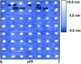 AFM image of a retronectin protein array patterned by DPN (from ref. 14)