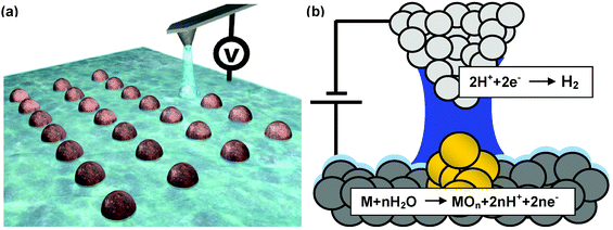 (a) Schematics of a local oxidation nanolithography experiment. The meniscus provides the oxyanions and confines the spatial extent of the reaction. (b) Accepted chemical reactions in the local oxidation of a metallic surface.