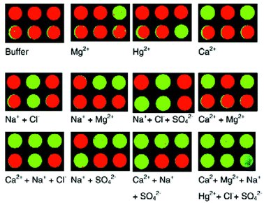 Traffic light patterns for various ions and ion mixtures. Green indicates the presence of an ion, and red indicates the lack of an ion. Reprinted with permission from Wolfbeis et al.,26Analyst, 2002, 127, 201. © 2002 The Royal Society of Chemistry.