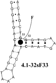 Structure of the modified cocaine variant (4.1–32sF33). Reprinted with permission from Landry et al.,28J. Am. Chem. Soc. 2003, 125, 6085. © 2003 American Chemical Society.