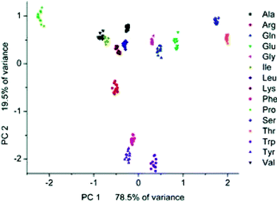 PCA score plot for Group II amino acids. The two principal component axes contain 98% of the variance in the original data set. Reprinted with permission from Severin et al.,30J. Am. Chem. Soc. 2005, 127, 3700. © 2005 American Chemical Society.