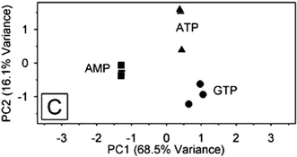 A PCA score plot indicating the separation and discrimination of the three nucleotide phosphates (▲ ATP, ■ AMP, ● GTP) by 30 receptors from library 1. Reprinted with permission from Anslyn et al.,14J. Am. Chem. Soc., 2003, 125, 1115. © 2003 American Chemical Society.