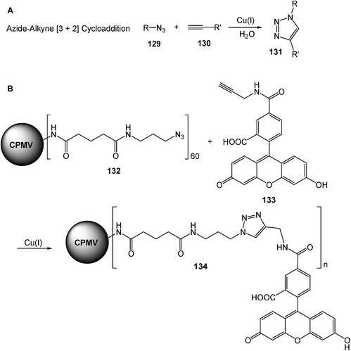 Chemical modification of CPMV by azide-alkyne [3 + 2] cycloaddition.
