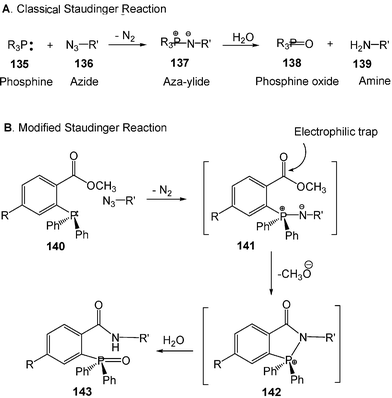 Classical and modified Staudinger reactions. (Reprinted with permission from ref. 40. Copyright 2000, American Association for the Advancement of Science.)