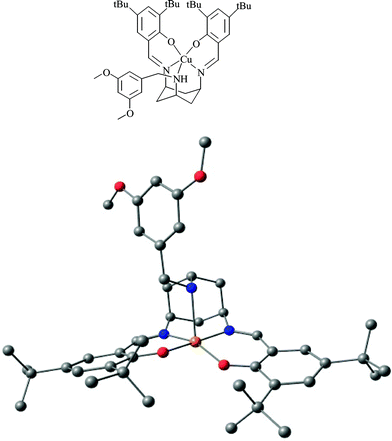 Molecular structure of CuIIL, L = cis-1-(3′,5′-dimethoxy-benzylideneamino)-3,5-[2-hydroxy-(3′,5′-di-tert-butyl)benzylideneimino]cyclohexane.