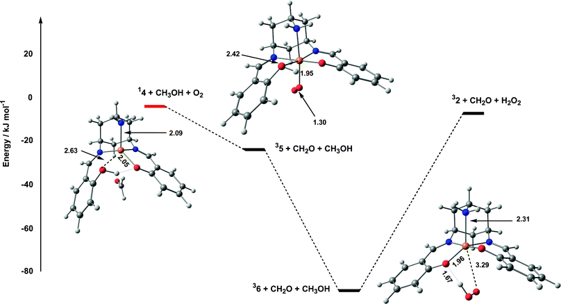 Potential energy surface for oxidation of 14 by O2.