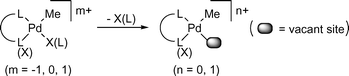 Generation of a vacant site on monomethyl palladium complexes with bidentate ligands.