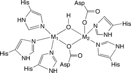 Structural features of the binuclear metal cluster in the active site of human GLX2. The description of the X-ray structure has M1/M2 = Zn(ii).6