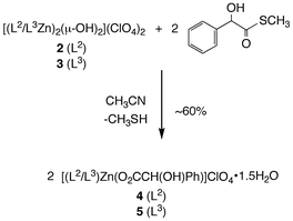 Reactivity of 2 and 3 with hydroxyphenylthioacetic acid S-methyl ester.