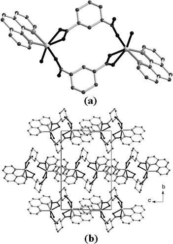 (a) Structure of [Mn(H2O)(C8H10O4)(C12H8N2)], VIII and (b) packing arrangement in VIII viewed along the a axis.