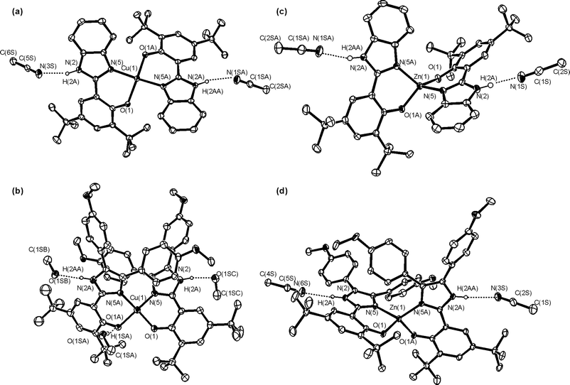 Phenoxyl Radicals H Bonded And Coordinated To Cu Ii And Zn Ii Dalton Transactions Rsc Publishing Doi 10 1039 Bp