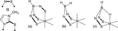 Poly(methimazolyl)borate coordination: (a)
					κ3-S,S′,S″; (b)
					κ2-S,S′; (c)
					κ3-H,S,S′.