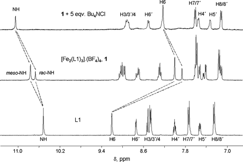 
            1H NMR spectra of L1 (bottom), [Fe2(L1)3](BF4)4, 1 (middle), and 1 following the titration of five equivalents NBu4Cl (top) in DMSO-d6. For the sake of clarity only the meso- and rac-NH resonances are labelled on the spectra of 1. Note the 1 : 2 abundance of the rac- and meso-isomers within the spectrum of 1. Dashed lines track changes in NH and H6 resonances.