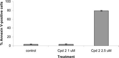 Cytotoxicity of compound 2 as determined by annexin V-positive cells. Ramos cells were treated with compound 2 at 1 or 2.5 µM for 24 h. Annexin V-positive cells were quantified by flow cytometry. Similar cytotoxic effects were seen when normalized caspase-3 activity was monitored (data not shown).