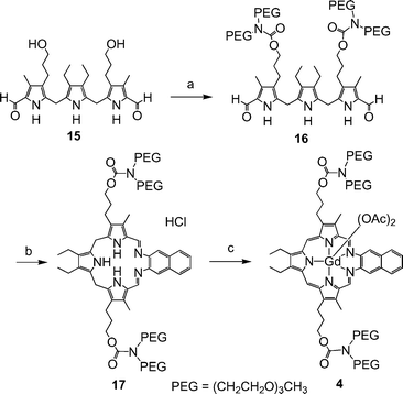 Reagents and conditions: (a) N,N′-disuccinimidyl carbonate, N,N-diisopropylethylamine (DIEA), DMSO, rt, then diPEG amine, 62%; (b) 2,3-diaminonaphthalene, HCl, MeOH, 45 °C; (c) Gd(OAc)3·4H2O, DIEA, air [O2], MeOH, reflux, 36%.