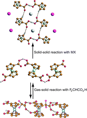 The solid–solid reaction and gas–solid reaction of the zwitterion sandwich [CoIII(η5-C5H4COOH)(η5-C5H4COO)] complex with crystalline MX and vapours of difluoroacetic acid, respectively.