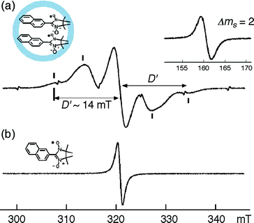 Powder EPR spectra of (a) inclusion complex 3a⊃(13)2 and (b) free radical 13.