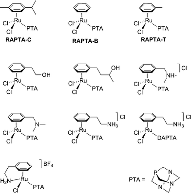 Some example of RAPTA compounds that have been evaluated in vitro and/or in vivo.