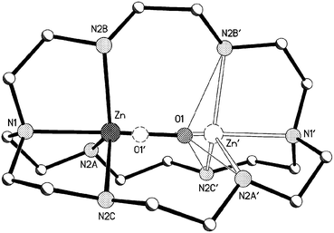 Structure of the [ZnL1(H3O)]3+ cation of 5. The two-fold axis bisects the C3B–C3B′ and Zn–Zn′ vectors. The atoms of the second component of the disorder are shown dotted (50% occupancy of each site). Symmetry code, (′), 1 −
						x, y, 
						−
						z.