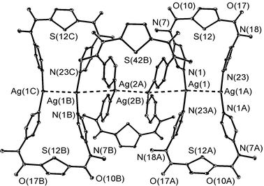 A view of the structure of the nitrate complex [Ag2(NO3)2{C4H2S(CONMe-4-C5H4N)2}2], 8b, showing the chains of macrocycles. Selected bond parameters: Ag(1)–N(1) 2.132(6); Ag(1)–N(23A) 2.150(6); Ag(1)–Ag(1A) 3.140(1) Å; N(1)–Ag(1)–N(23A) 167.6(2)°. For the independent molecule, corresponding parameters are: Ag(2A)–N(53B) 2.145(6); Ag(2A)–N(31A) 2.152(5); Ag(2A)–Ag(2B) 3.038(1) Å; N(53B)–Ag(2A)–N(31A) 166.3(2)°. Symmetry equivalents: A, −x, 1 −
						y, −2 −
						z; B, −x, 2 −
						y, −2 −
						z.