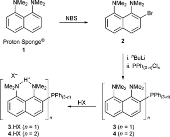 Syntheses of 2–4 from Proton Sponge® (1).