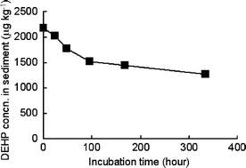 Degradation of DEHP in sediment. Incubation was carried out at 25 °C without any DEHP spiking. Sediment was taken from Furu River in January 2002.