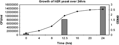 Cell count of the yeast solution after 24 h.