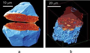 Three-dimensional visualisation of the west (a) and north (b) particles, by cutting the data block the inner particle structure is visualised.