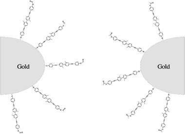 Schematic view of the gold electrodes and some molecules on the surface. A gold–sulfur bond is established by cleaving of an acetyl protection group.