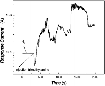 Conductivity dependence of in-situ polymerized poly(aniline) film on exposure to trimethylamine (1.54 × 10−6 mol mL−1).