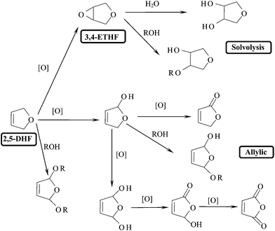 Reaction paths in the epoxidation of 2,5-DHF (R = Me, Et etc.).