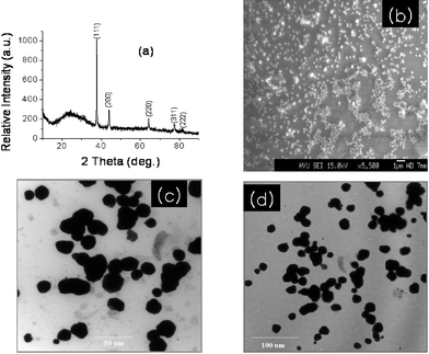 (a) XRD profile of as-deposited gold nanoparticles onto a 1 × 1 cm2 glass substrate, (b) SEM image, (c), (d), low and high magnified TEM images.