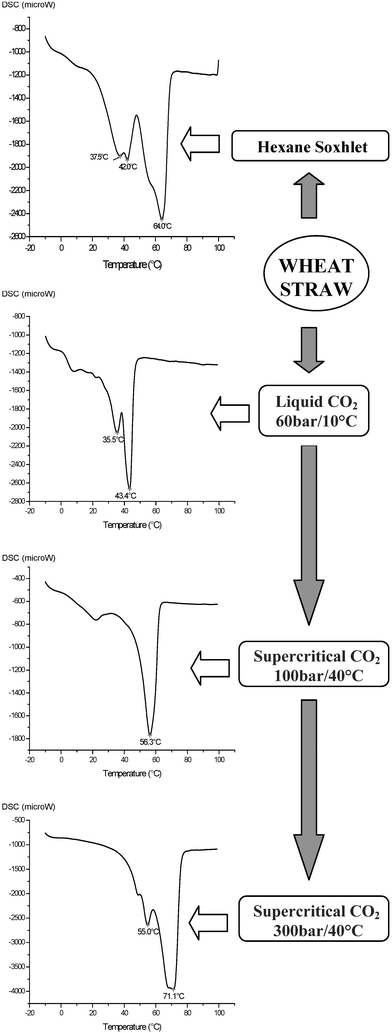 DSCs for some fractionated waxes obtained using hexane and carbon dioxide.