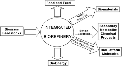 Green chemistry and the biorefinery.